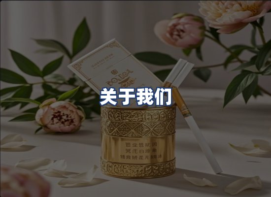 关于我们